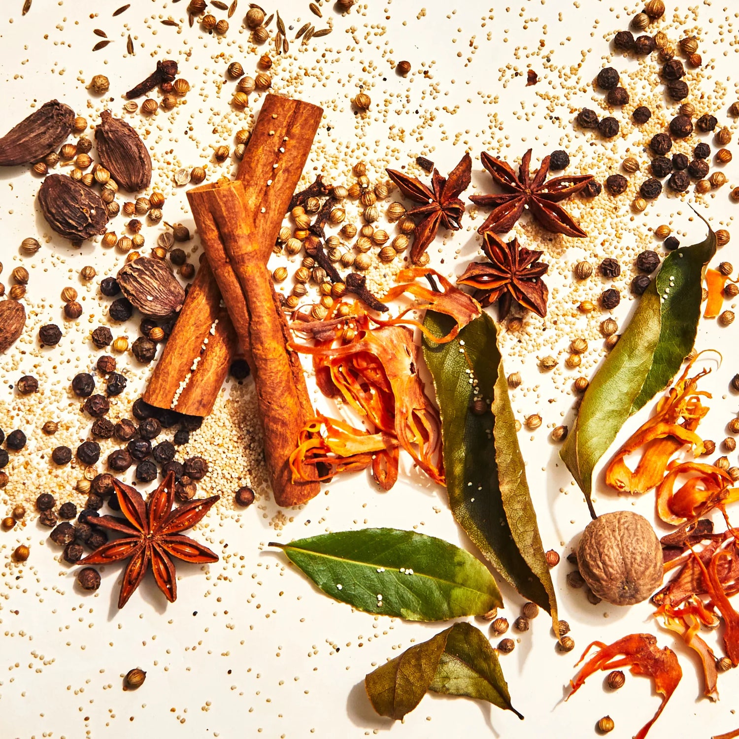 MASALA PLANT