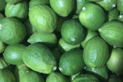 Gandharaj Lemon Fruit Plants For Home & Gardening