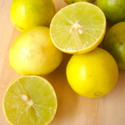 Pakistani Patti Lemon Fruit Plants For Home & Gardening