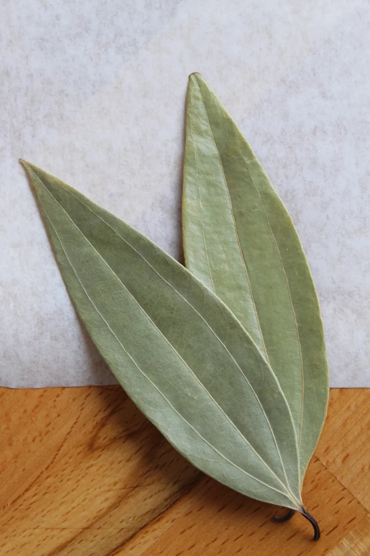 Tejpatta Plants For Home & Gardening