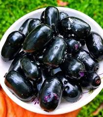 Thai King Jamun Fruit Plants For Home & Gardening